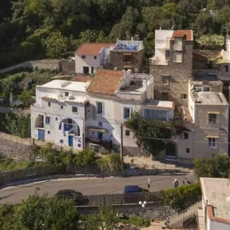 Island View דירה