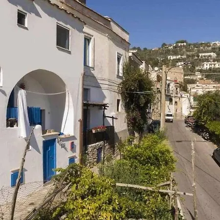 Island View דירה